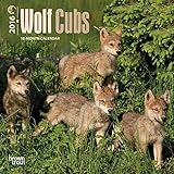 Wolf Cubs - 2016 Mini Wall Calendar 7 x 7in