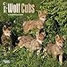 Wolf Cubs - 2016 Mini Wall Calendar 7 x 7in
