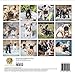 French Bulldog Puppies - 2018 Wall Calendar