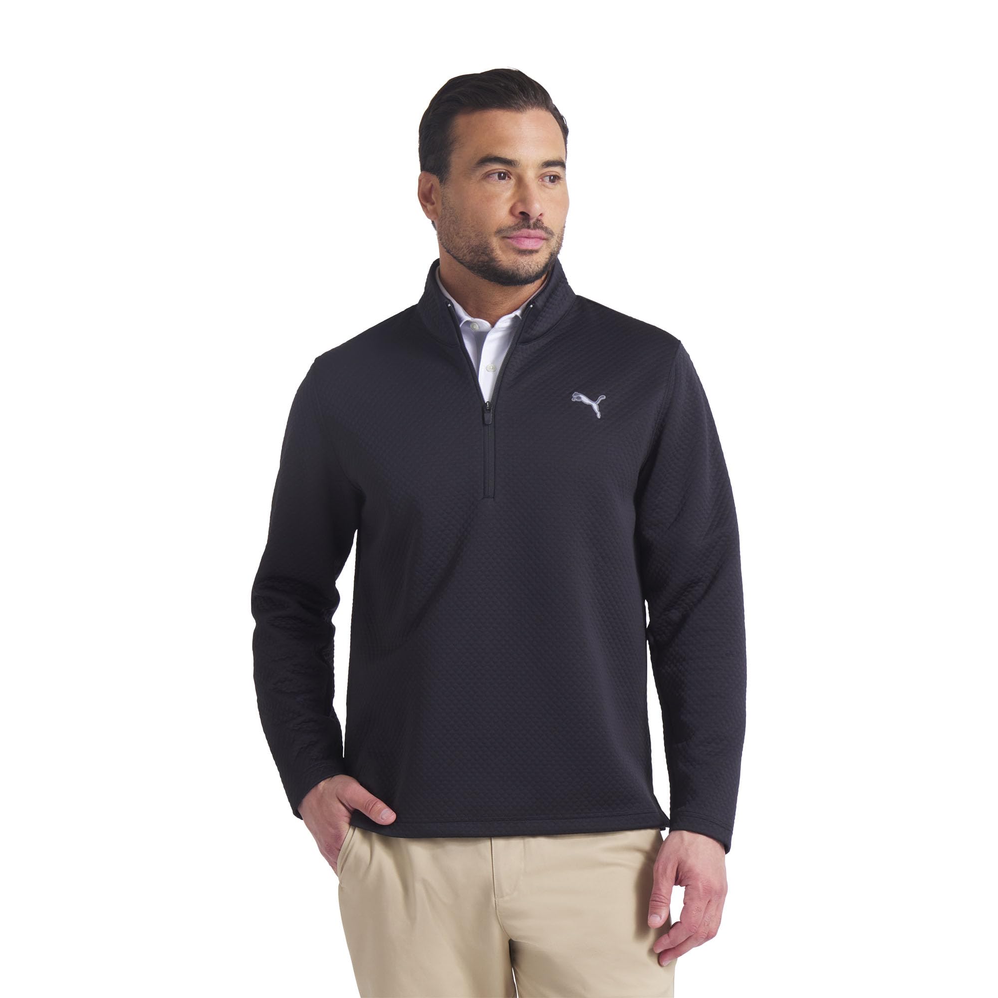Photo 1 of PUMA Men's Standard Pebble 1/4 Zip, Black, L