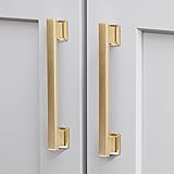 VEHCIL 10 Pack Square Brushed Brass Cabinet