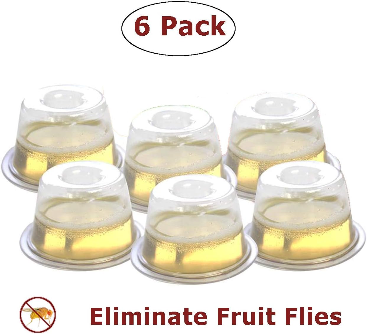 Outward Creations Fruit Fly Trap - PreFilled with Bait - 6 Pack | Safe, Non-Toxic with No Insecticides or Odor, Eco Friendly