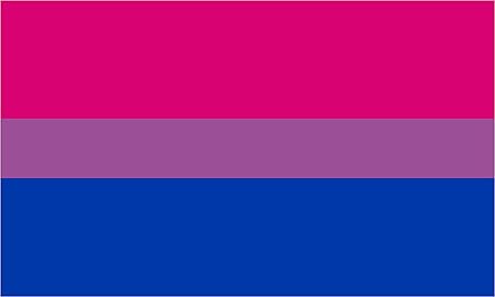 I Like Both Bi Pride Stand Up