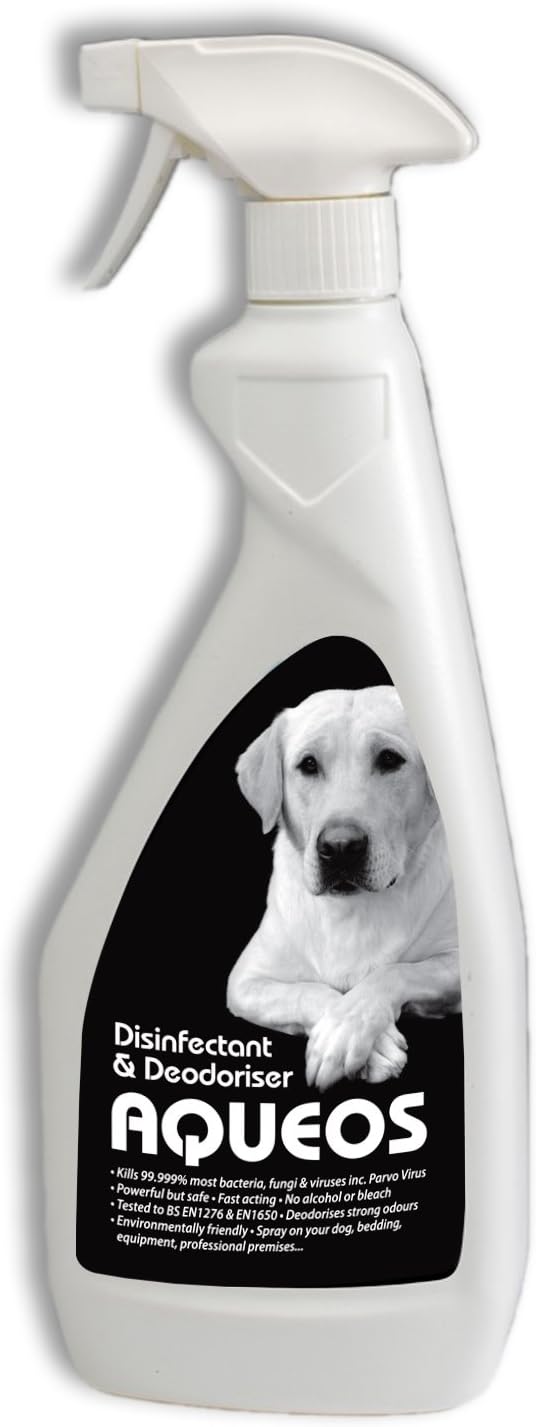 disinfectant safe for dogs