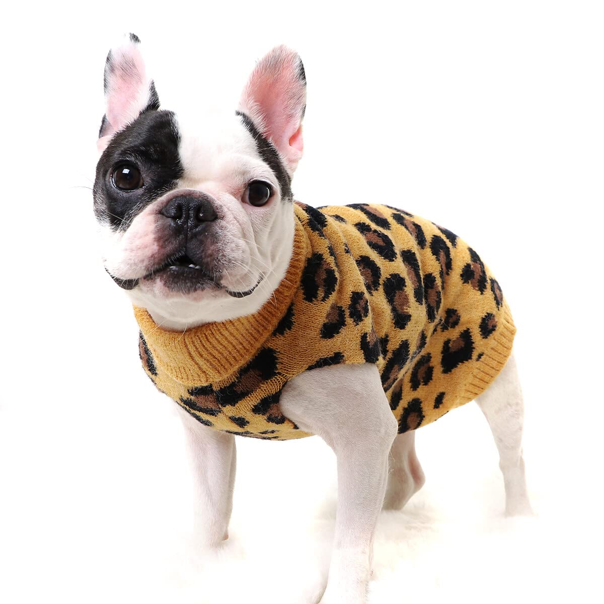 Haokaini Dog Sweater Pet Warm Clothes Dog Knitted Wool Vest Coat Dog Leopard Pattern Winter Jumper Apparel for Small Medium Dogs Cat (Medium, yellow)