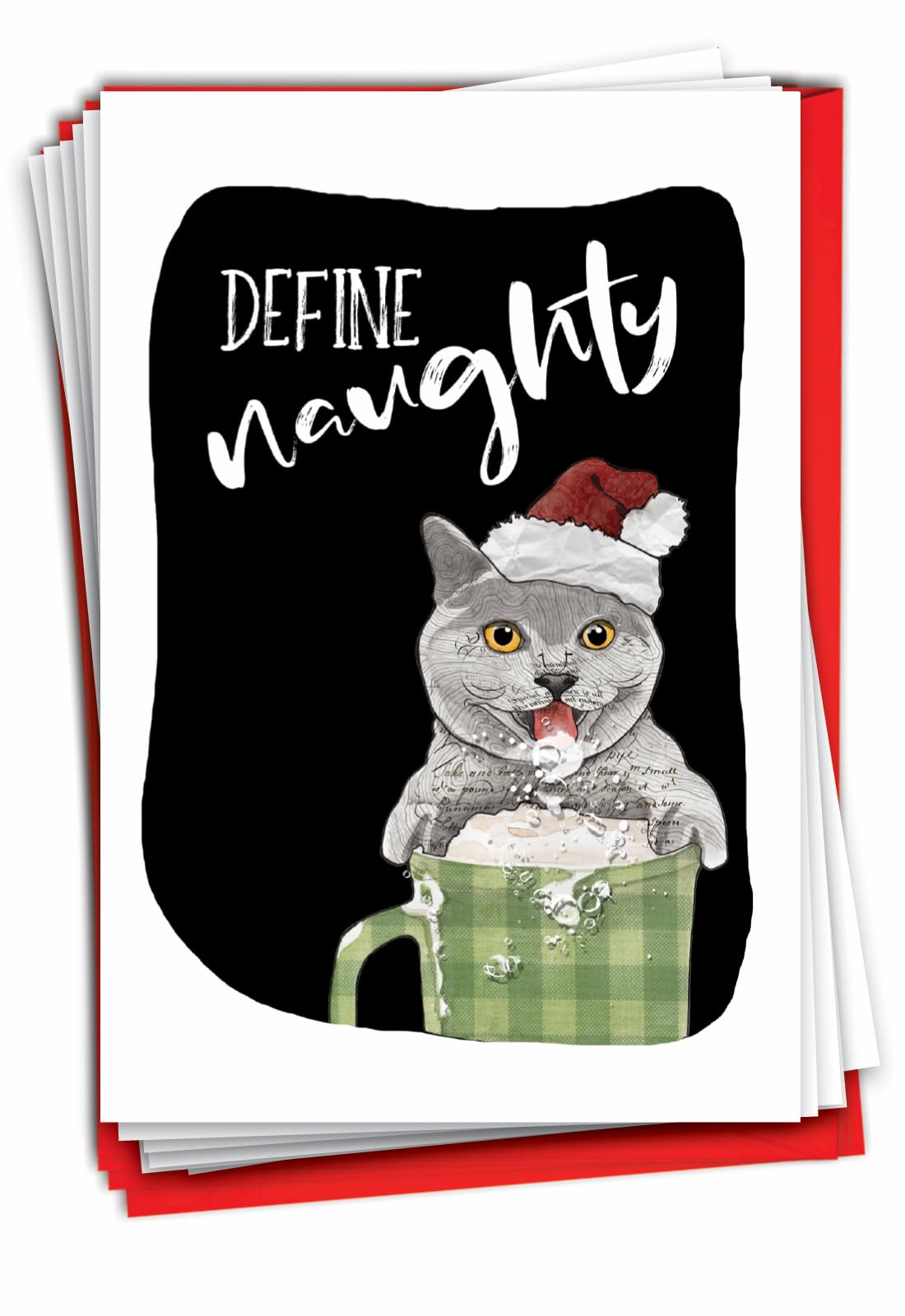 NobleWorks - 12 Funny Animal Christmas Cards - Pet Holiday Humor, Bulk Boxed Notecards with Envelopes (1 Design, 12 Cards) - Define Naughty Cat C3469XSG-B12x1