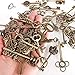 KeyZone Wholesale 69 Pieces Large Antique Bronze Vintage Skeleton Mixed Key Charms Necklace Pendant for DIY Jewelry Making