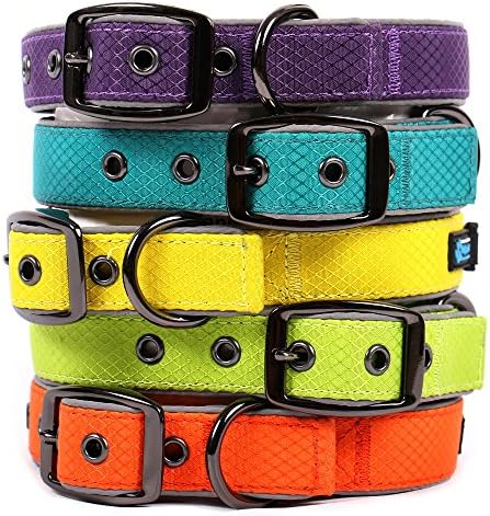 Max and Neo Glacier Reflective Neoprene Metal Buckle Dog Collar - We Donate a Collar to a Dog Rescue for Every Collar Sold (MEDIUM, ORANGE)