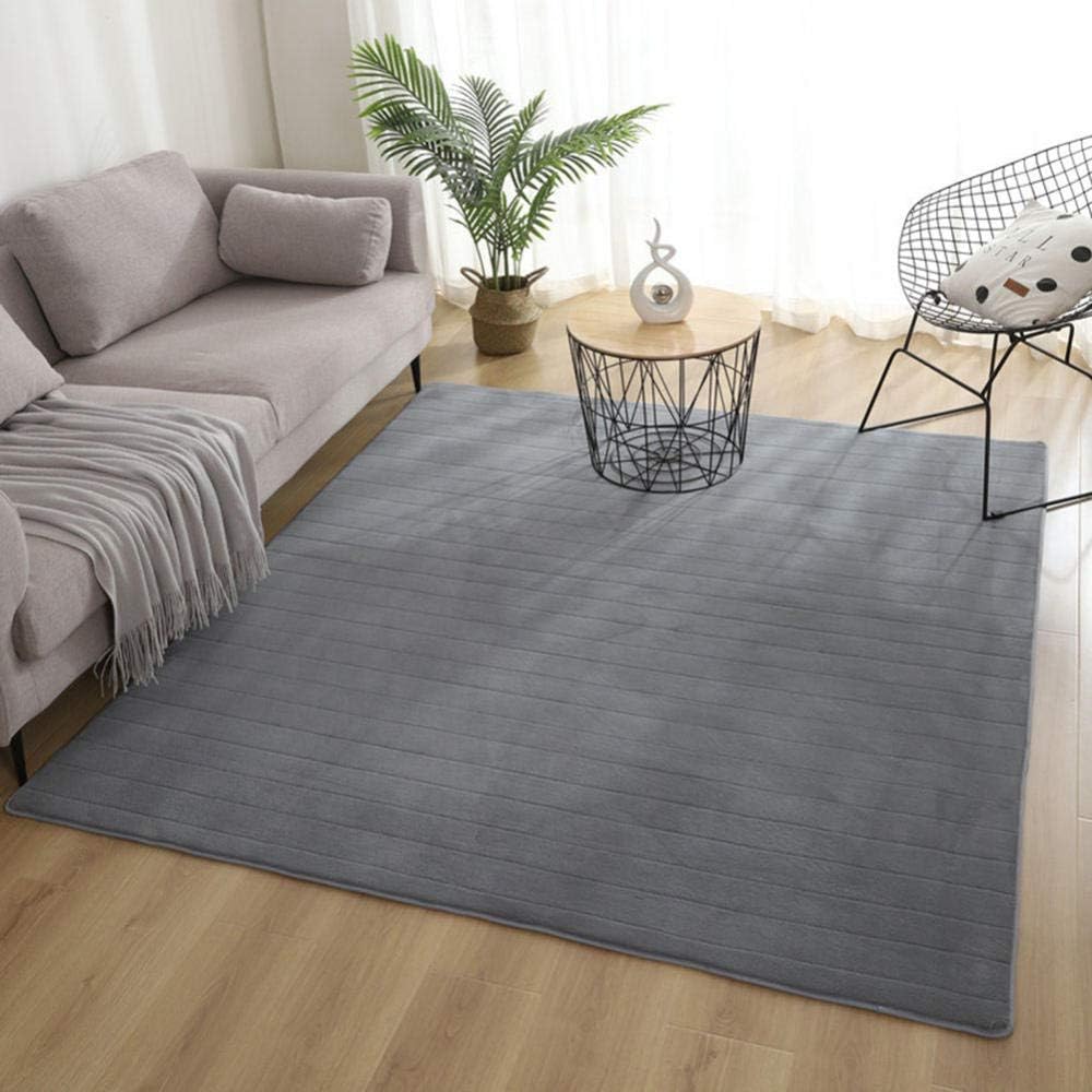 HaoLi Alfombra de Felpa Sedosa y Peluda, Alfombra Gruesa de Terciopelo