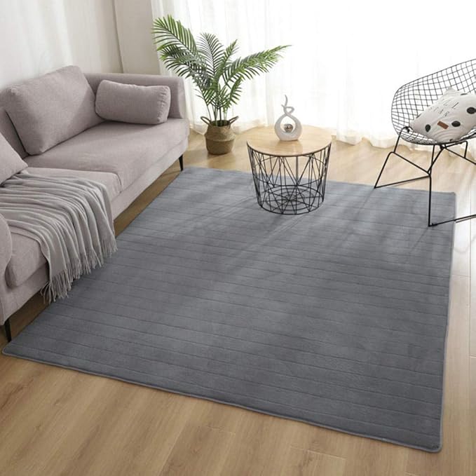 HaoLi Alfombra de Felpa Sedosa y Peluda, Alfombra Gruesa de Terciopelo