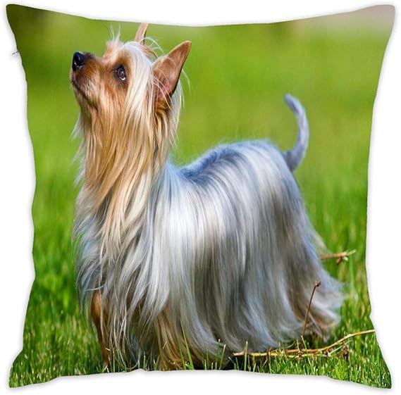 Amazon 装飾的なスローピローカバーピロープロテクターケースカバー18 X18 両面印刷された家の装飾45x45cm オーストラリアの シルキーテリアドッググリーングラス 50x50 Cm 枕カバー ピローケース オンライン通販