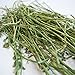 Carefresh Alfalfa Hay Food