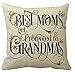 Andreannie Best Best Moms Get Promoted to Grandmas Blessing Flower Characters Cotton Linen Throw Pillow Case Cushion Cover Home Office Decorative Square 18 X 18 Inches (Insert Not Include)¡­