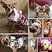 Beirui Cute Christmas Dog Jacket - Dogs Winter Coat Soft Fleece Padded Vest - Warm Pet Jumpsuit Dog Accessories Hoodie,Red 12