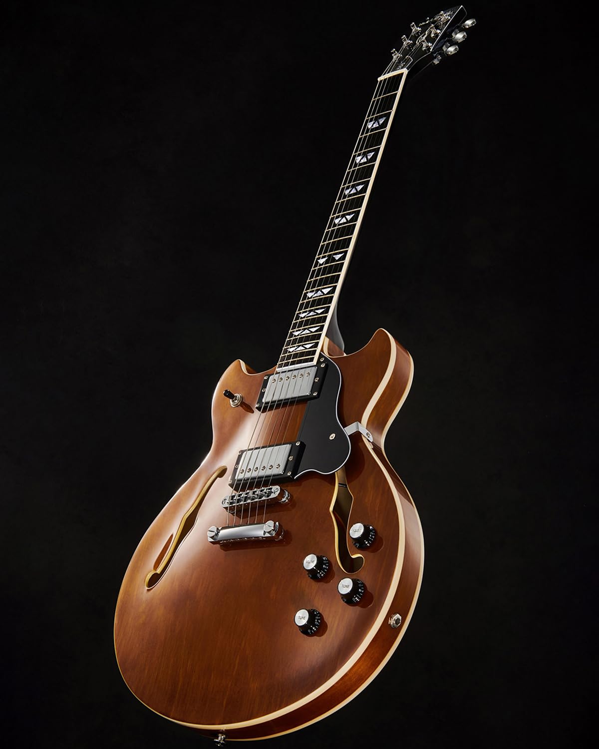 Westcreek 333 Review EART E-335 6 String Semi-Hollow-Body