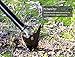 ORIENTOOLS Warren Hoe Winged Weeder 3 Section Handle with Large Blade, Black, 57-inch