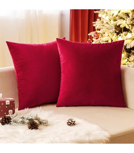 FEVERQIYI - Juego De 2 Fundas De Almohada De Terciopelo Negro De 20 X 20 Pulgadas, Fundas De Almohada Cuadradas Decorativas Suaves Y Sólidas Para Dormitorio, Sala De Estar, Decoración Interior Y