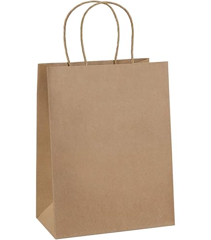 SANS MARQUE - Lot 50 sacs en papier kraft blanc 70 g/m². Poignées plates. Dimens