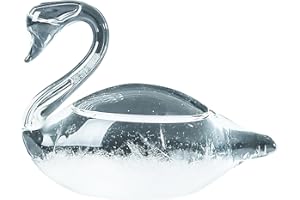 Storm Glass Weather Predictor, Weather Predictor Storm Glass Weather Forecaster eather Forecast Bottle Weather Glass Creative