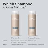 Paul Mitchell Shampoo One 1L Gentle Cleanser For Color-Treated Hair view 9