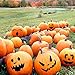 Elcoho Pumpkin Decorating Craft Kits Halloween Pumpkin Stickers Makes 9 Pumpkins