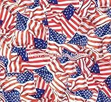 Hydrographic Film - Water Transfer Printing - Hydro Dipping - American Flags - 1 Meter