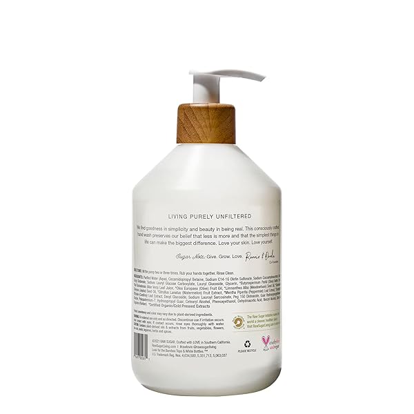 RAW SUGAR, LIQUID HAND SOAP WATERMELON, 16.9 OUNCE
