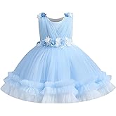 Flower Girl Dress for Toddler Baby Girls Flower Tulle Tutu Dress Infant Formal Pageant Princess Party Birthday Dresses