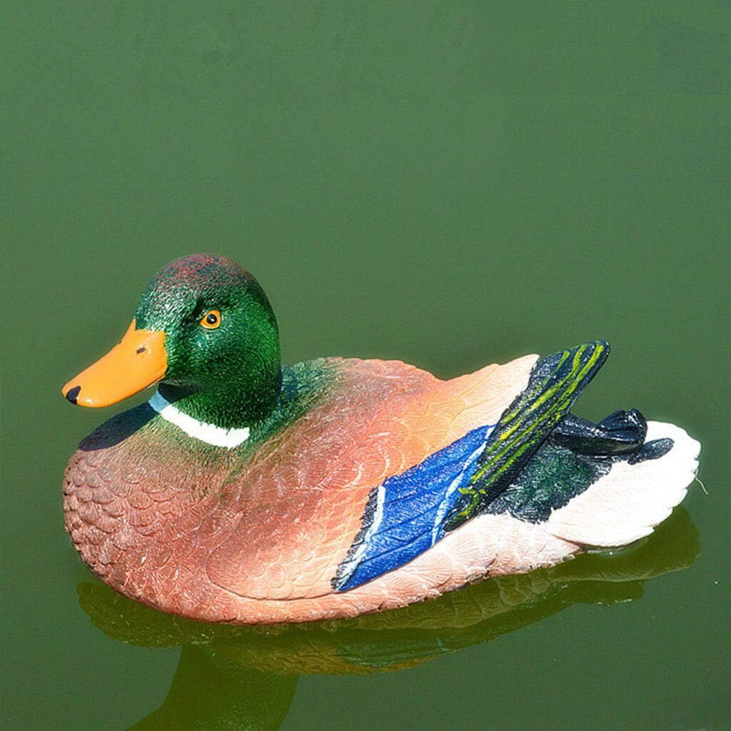 Yukuai Animal Duck Swan Decoy Garden Pond Floating Statue Decorations, Resin Pond Goose Decor White Duck for Home Garden Outdoor Park Pond (A)