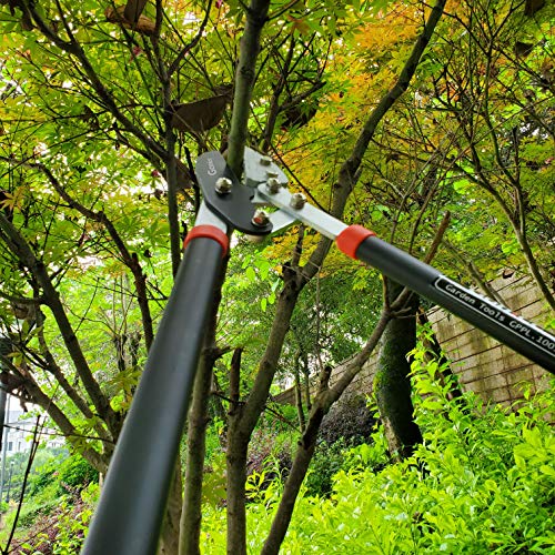 gonicc Professional 30 inch SK5 Steel Blade Anvil Lopper, 2Inch