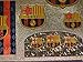 fc barcelona futbol football soccer sticker decal