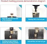 Lemiyoo 192 Pcs Rivet Nuts Kit M3-M12 Zinc Plated Carbon Steel Rivnuts view 3