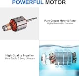 DCHOUSE 12V Stainless Steel Solar Well Pump 3.2GPM 120W Panel Garden Farm view 8