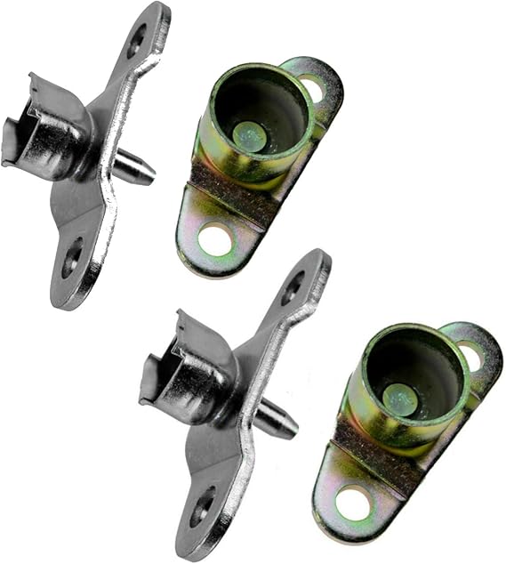 Parts N Go 19942004 Chevy S10 Bedside Tailgate Hinge Set