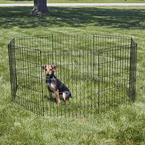 1 New+World+Pet+Products+B552+30