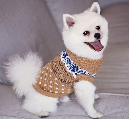 kitten clothes amazon