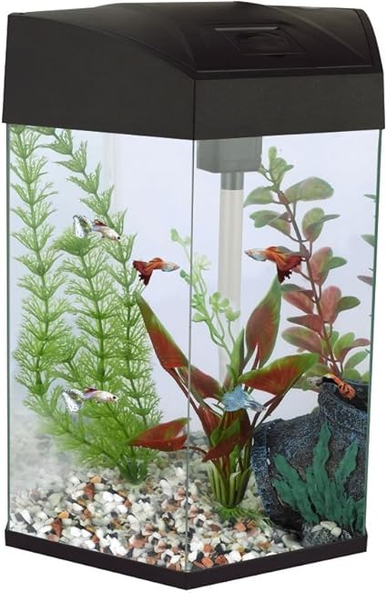 Fish R Fun Hexagonal Tank 21 6 Litre Capacity Black Amazon Co Uk Pet Supplies