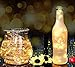 MZD8391 10 Pack Waterproof Fairy String Lights, MZD8391 20 LED 6.6 FT Copper Wire Lights for Bedroom Wedding - (Battery Operated)