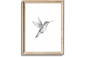 uniro Vintage Wall Art Prints Farmhouse Decor Hummingbird Sketch Canvas Oil Painting Black and White Bird Neutral Vintage Artwork Pictures for Bedroom Living Room Decor (8" x 10"-UNFRAMED)