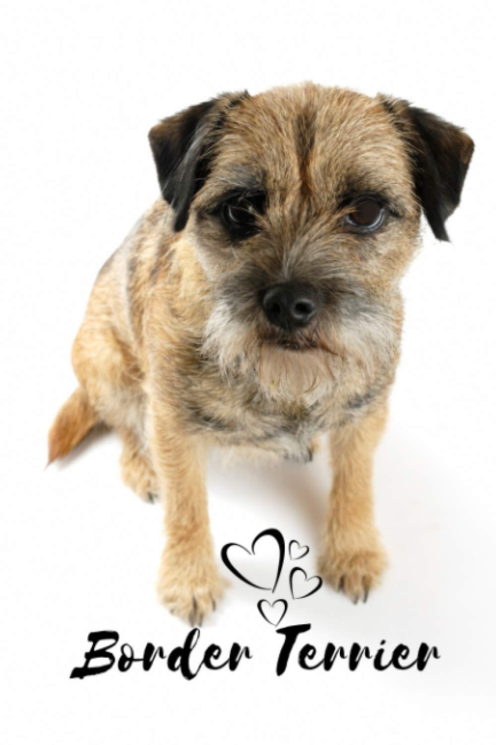 Border Terrier Dog Notebook For Dog Lovers: Composition Notebook 6x9" Blank Lined Journal