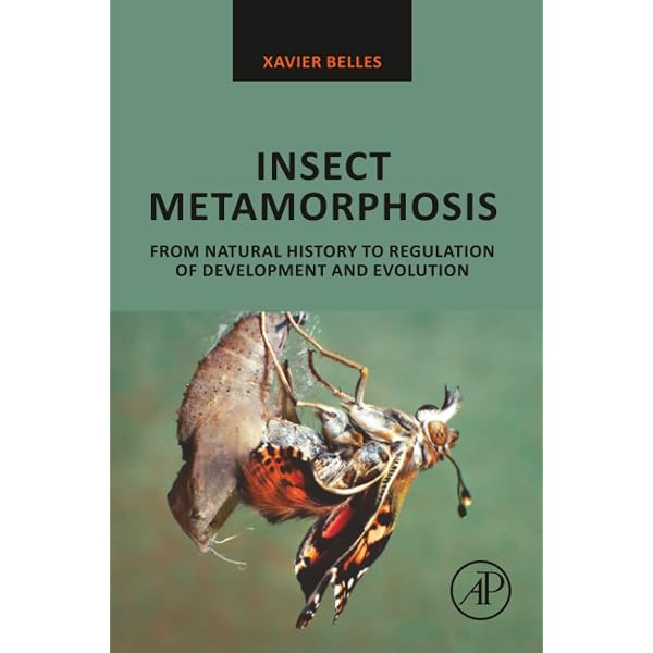 Insect Metamorphosis: From Natural History to Regulation of