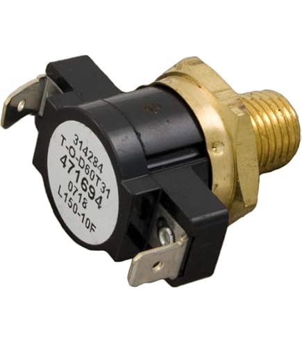 Amazon.com : Pentair Hi-Limit, Minimax NT/Minimax CH, 115F : Patio