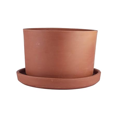 Village Decor Terracotta/Clay Money Plant Container with Bottom Tray (B*H - 8.5 * 6inch)