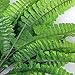 BLUECELL 1x Green Imitation Fern Plastic Artificial Grass Leaves Plant for Home Wedding Decor