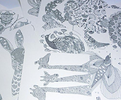 Animal Kingdom ぬりえ カード 動物たちのぬり絵 塗り絵 英語 30枚 30 Postcards 142mm 172mm B06xfjkh1q 770円 大人気 New Arrival 最安値挑戦 年中無休 高品質 通販