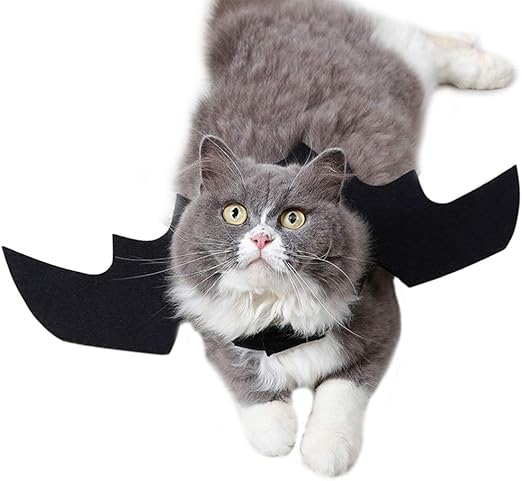 accesorios gatos amazon