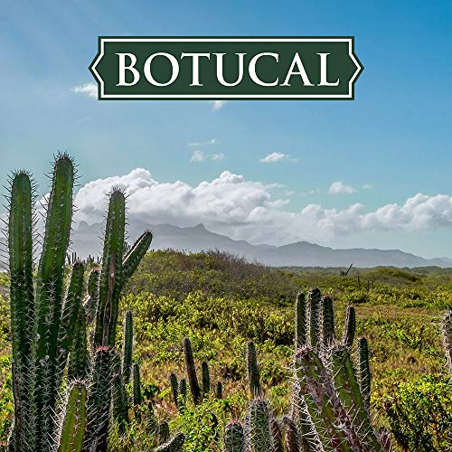 Botucal | The Distillery Collection | No. 2 Barbet Rum | 700 ml | 47% Vol. | In Fässern aus amerikanischer Weißeiche gereift | Tropisch fruchtige Noten | Ausgeprägtes & ausbalanciertes Bouquet – Bild 6