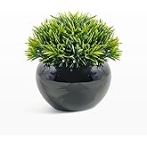 Velener Small Artificial Succulents Grass Desk Plant for Office, Fake Sage Plants for Shelf Decor, Mini Faux Plant Indoor, Masculine Home Decor, Coffee Table Decor, Bathroom Counter Decor in Pot