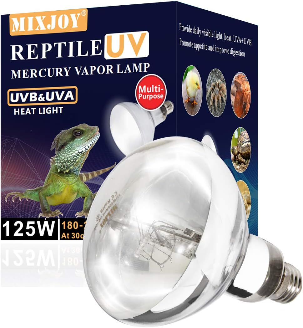 best reptile heat bulb