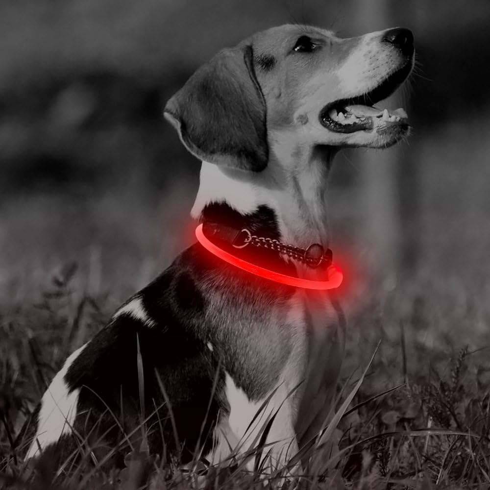 4id dog collar